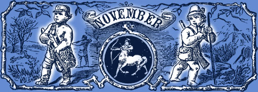 Horoscope for November 2012